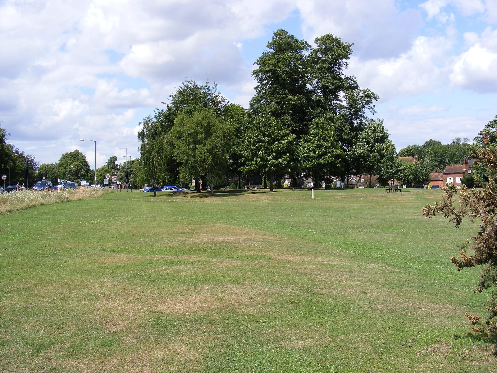 The Baa Lamb Trees on Harpenden Common